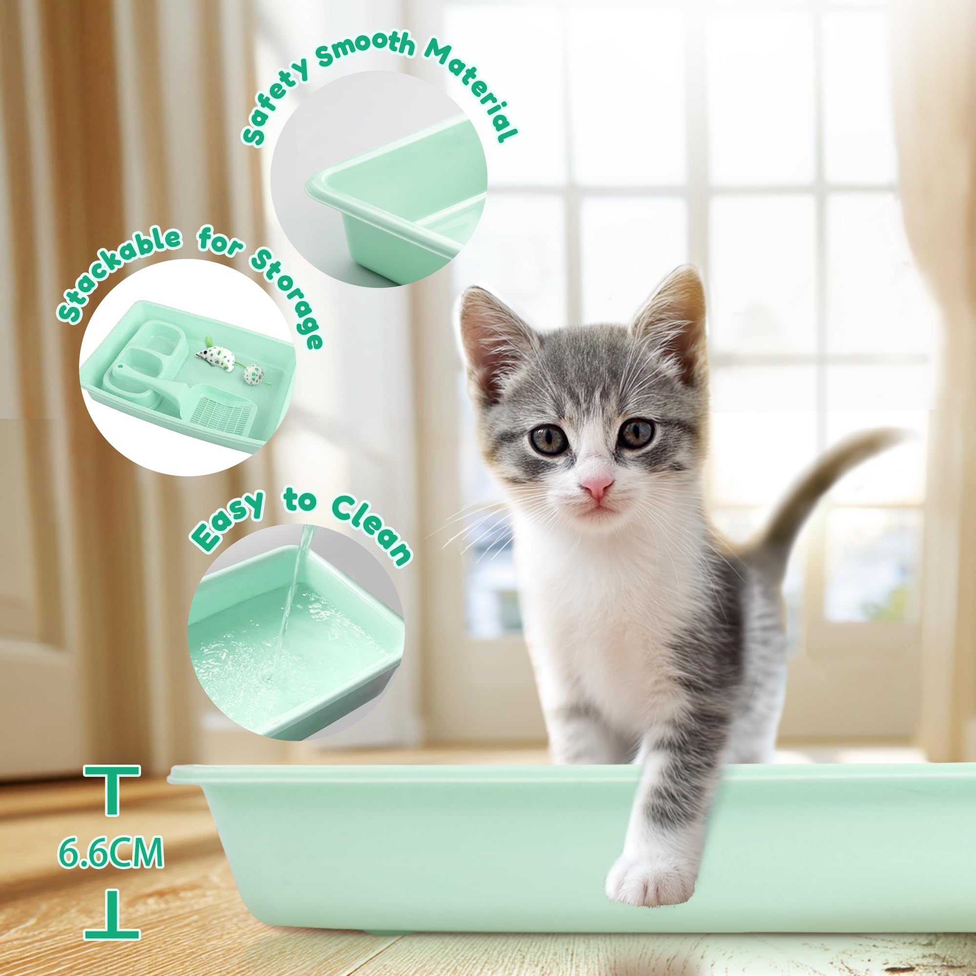 PAWISE souris et balle jouets stimulant jeu et instincts du chaton