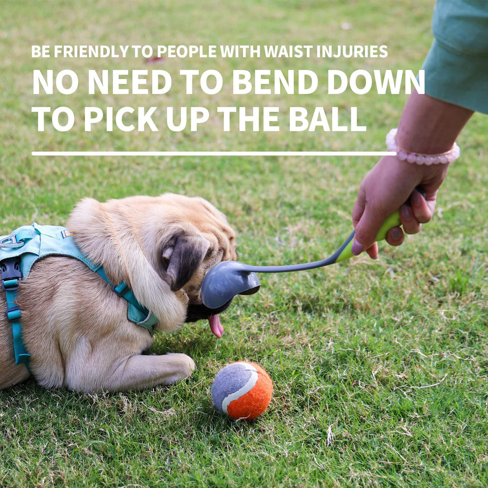 PAWISE lanceur utilisé au parc stimulant l’exercice du chien