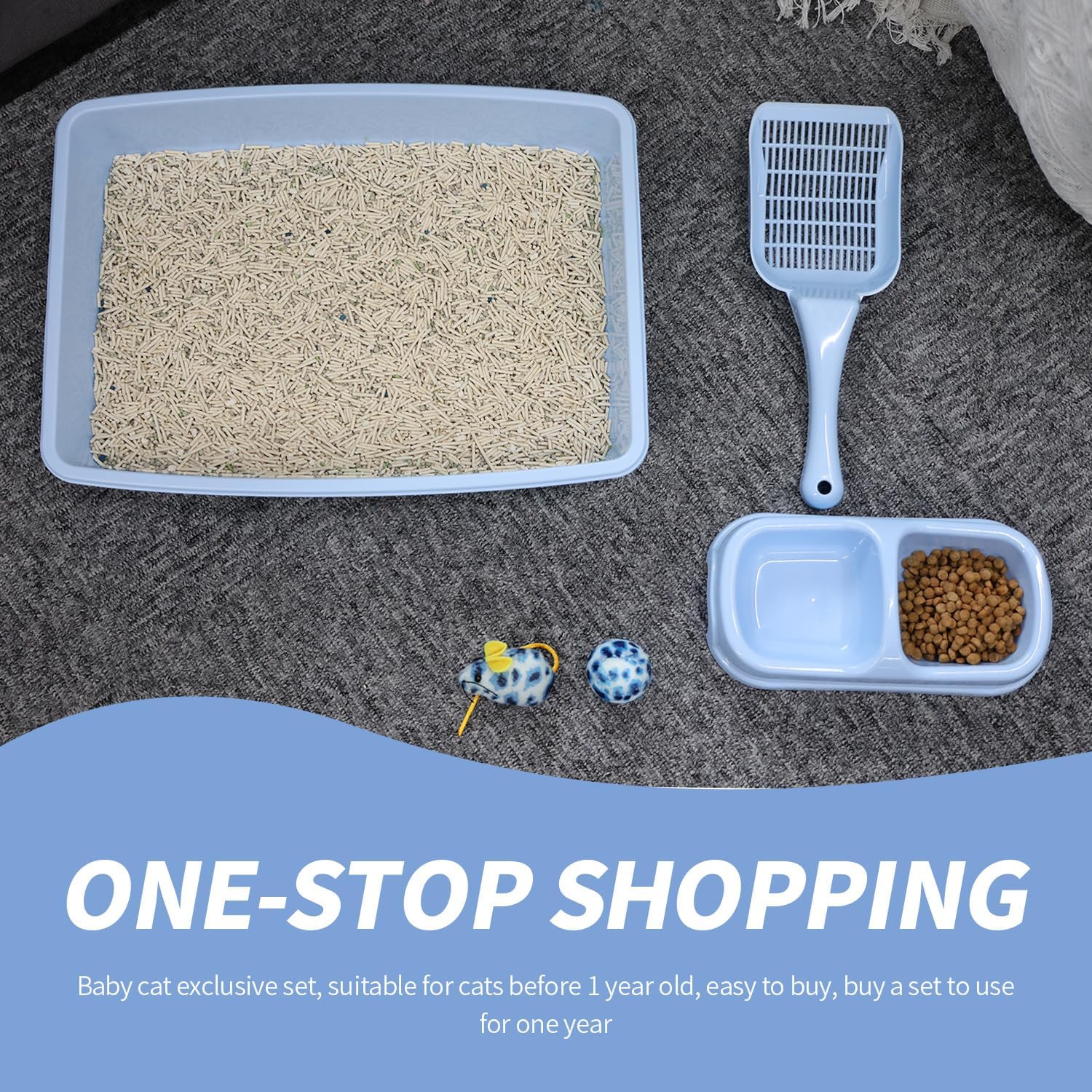 PAWISE chaton utilisant le kit favorise apprentissage et jeu