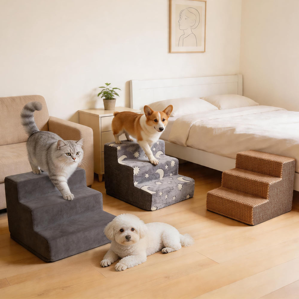 PAWISE scène salon lifestyle intégrant marches au décor quotidien