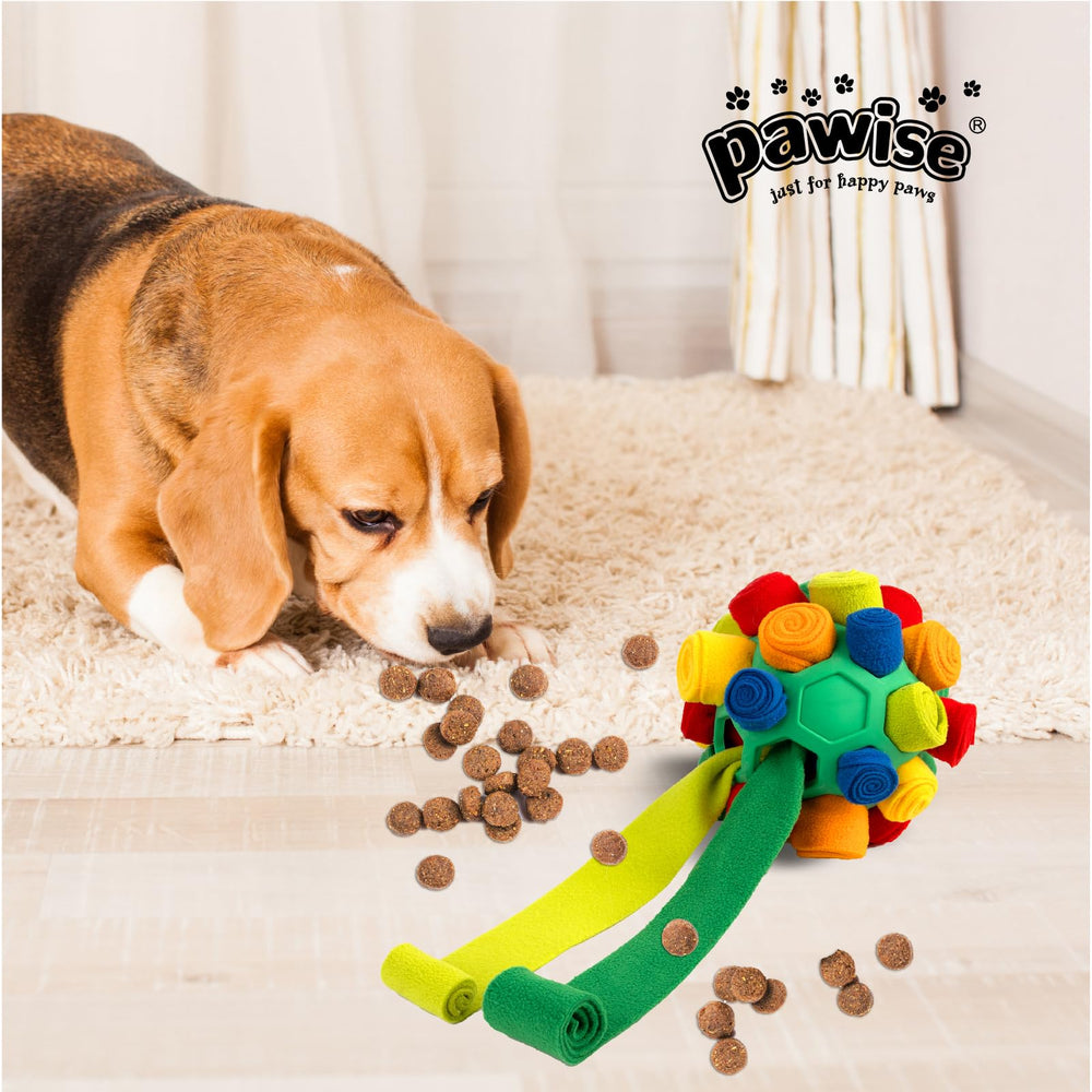 PAWISE scène salon chien jouant offrant stimulation mentale et calme