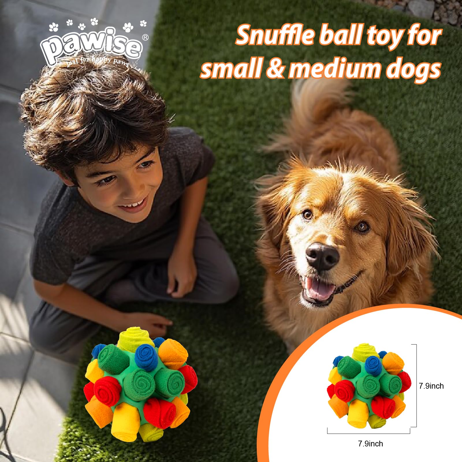 PAWISE jouet en usage avec friandises stimulant flairage chien