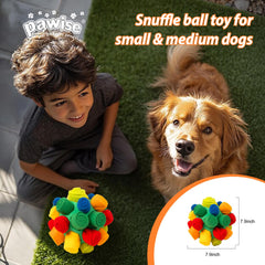 PAWISE jouet en usage avec friandises stimulant flairage chien