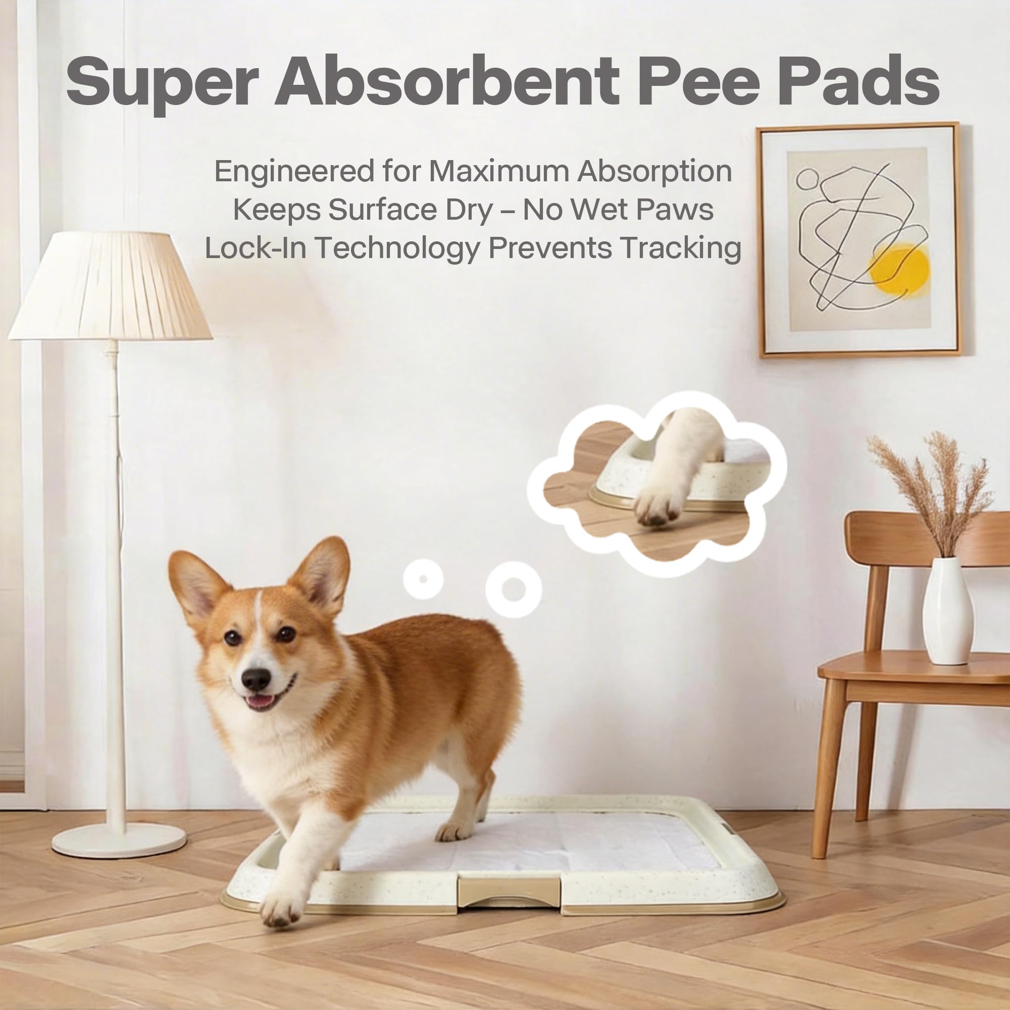 PAWISE chien utilisant le bac intérieur pour un accès facile