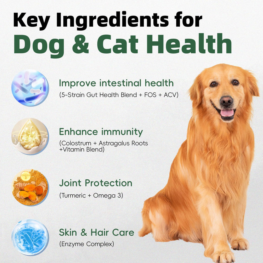 Pawlooza chien en utilisation acceptant la friandise et calme cutané