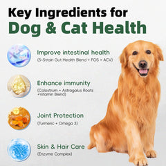 Pawlooza chien en utilisation acceptant la friandise et calme cutané