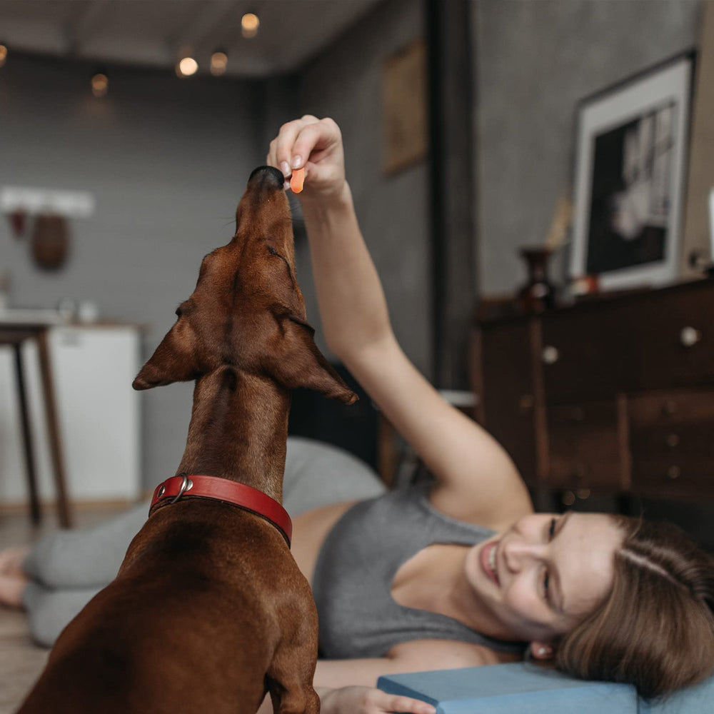 Pawmate intérieur du paquet ouvert montrant facilité d'accès et fraîcheur