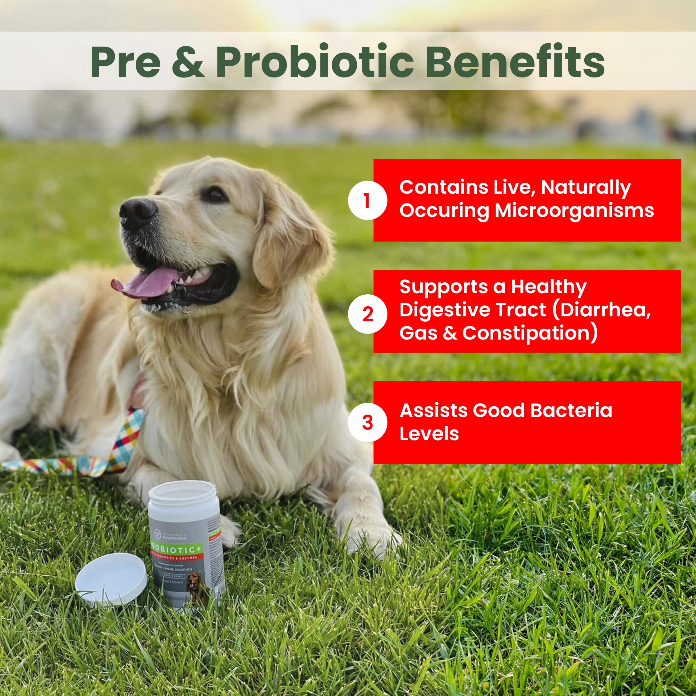 TRUSTWELL PAWMEDICA gros plan sur la texture du chew et appétence pour administration facile