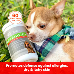 TRUSTWELL PAWMEDICA chien prenant un chew, soutien digestif pratique et accepté