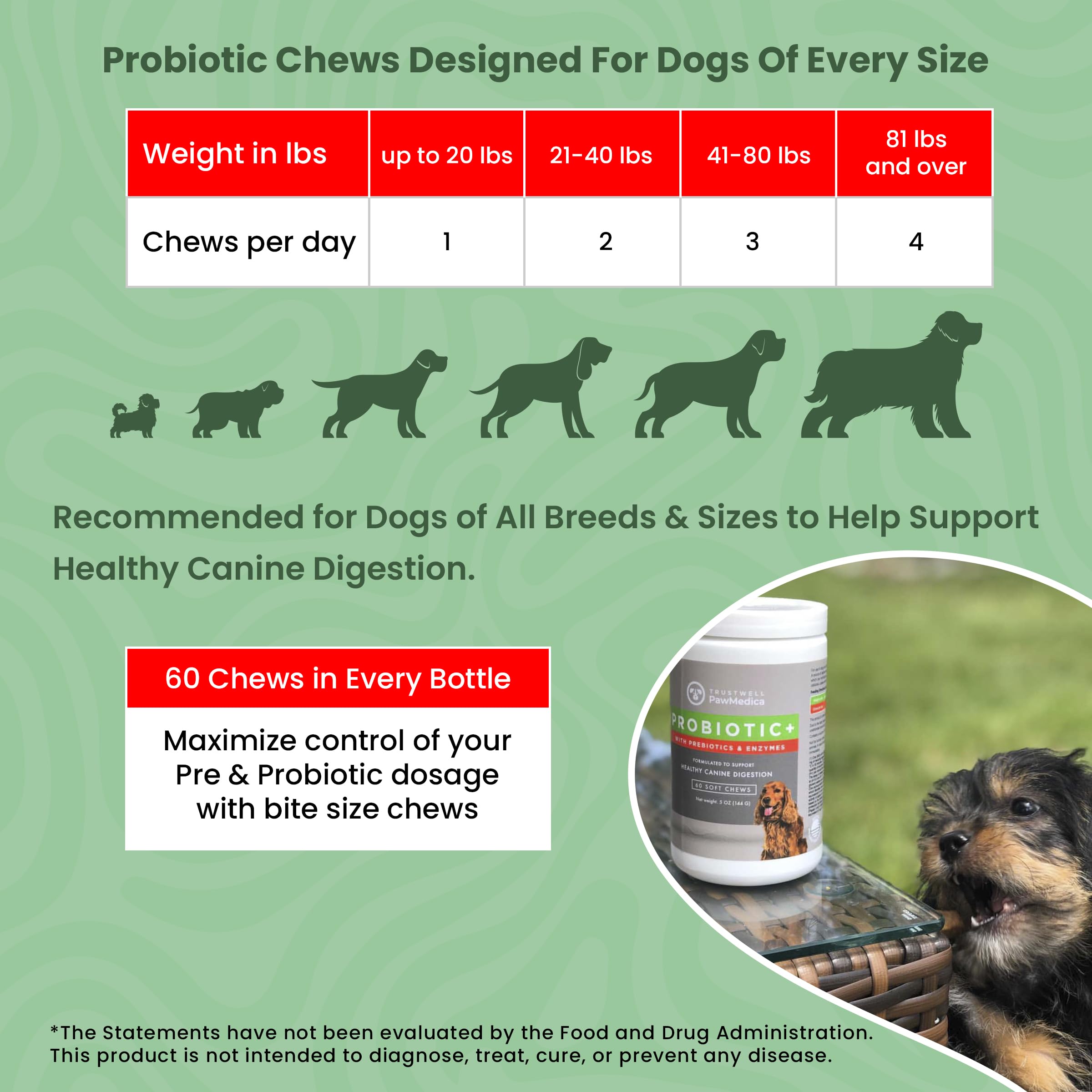TRUSTWELL PAWMEDICA chien actif dans jardin après prise, montrant confort digestif amélioré