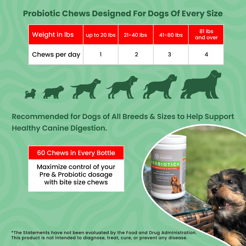TRUSTWELL PAWMEDICA chien actif dans jardin après prise, montrant confort digestif amélioré