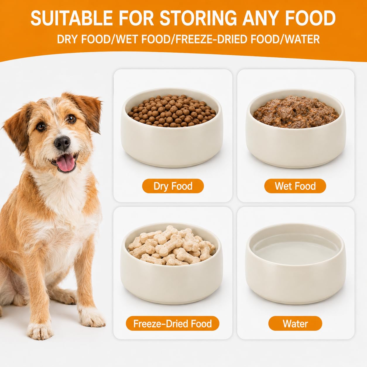 PawMeow chien utilisant la gamelle confort et stabilité