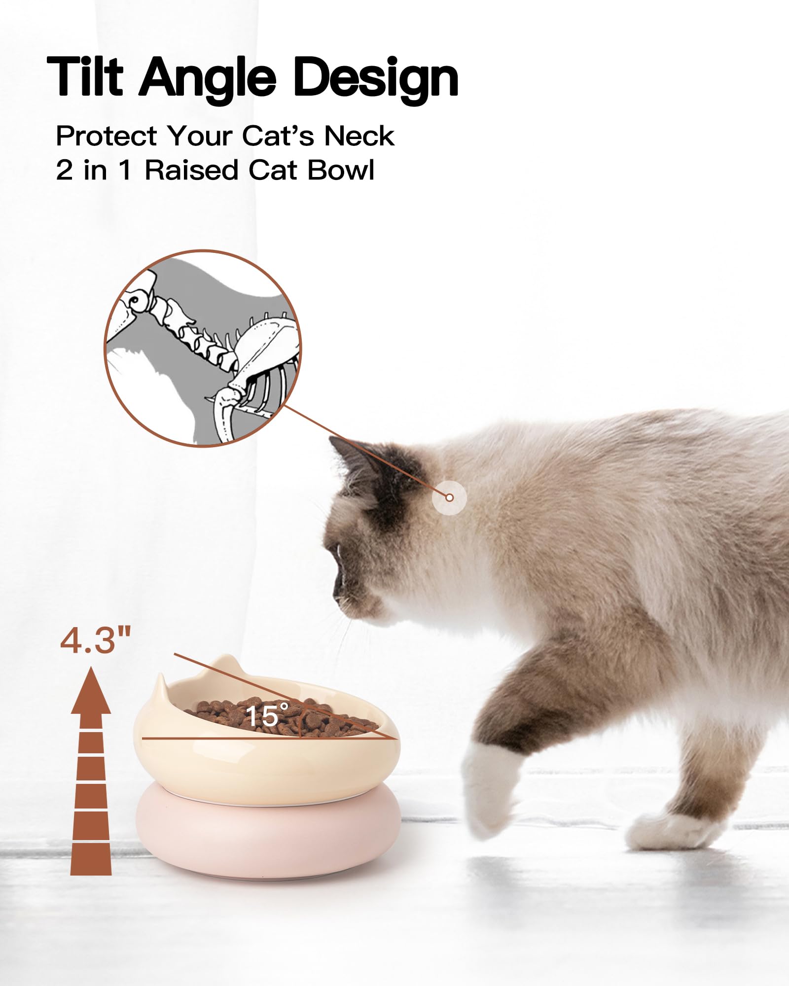 PawMeow gamelle en usage par un chat, confort d'alimentation amélioré