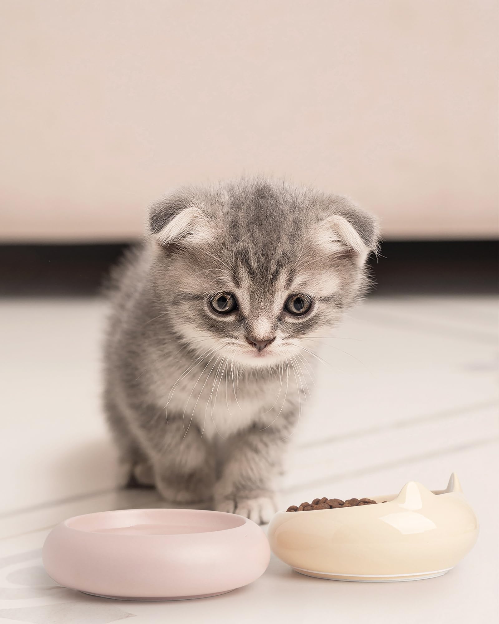 PawMeow pictogrammes lave-vaisselle micro-ondes faciles à entretenir