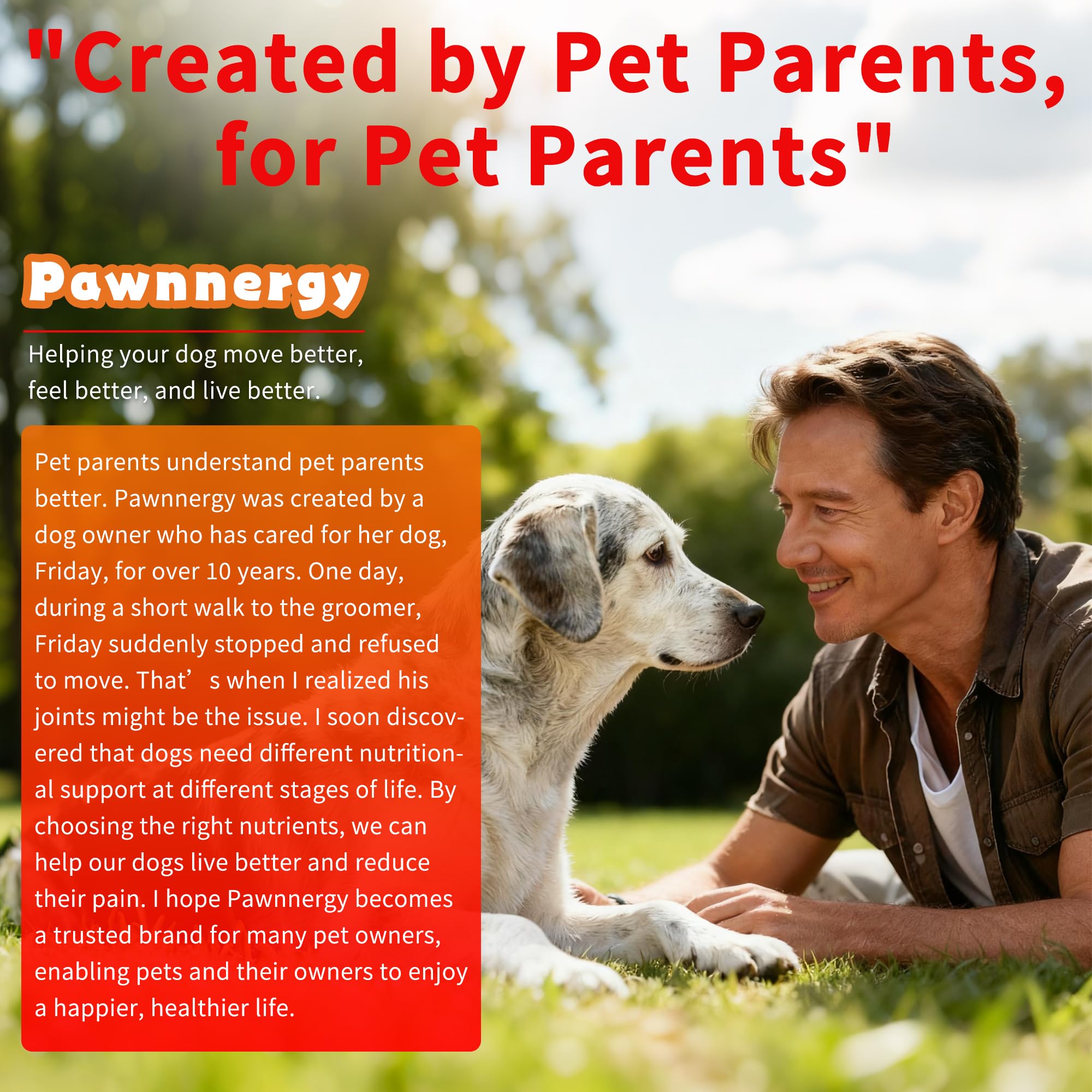 Pawnnergy scène de vie quotidienne chien serein après usage régulier