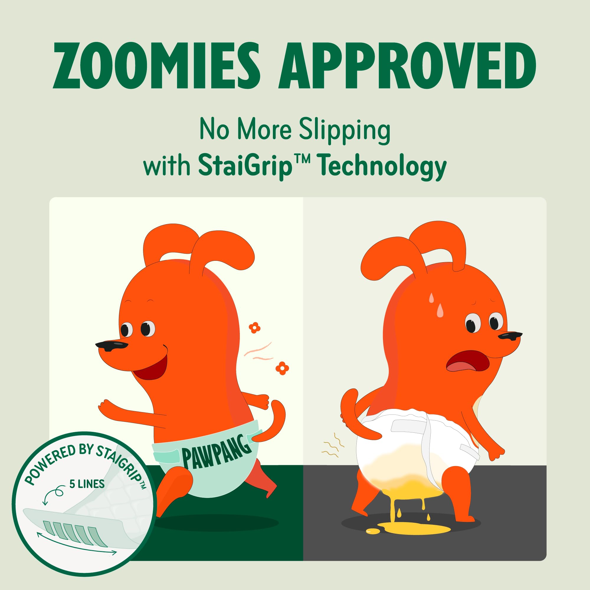 PAWPANG comparaison d'échelle XS pour adapter à petits chiens