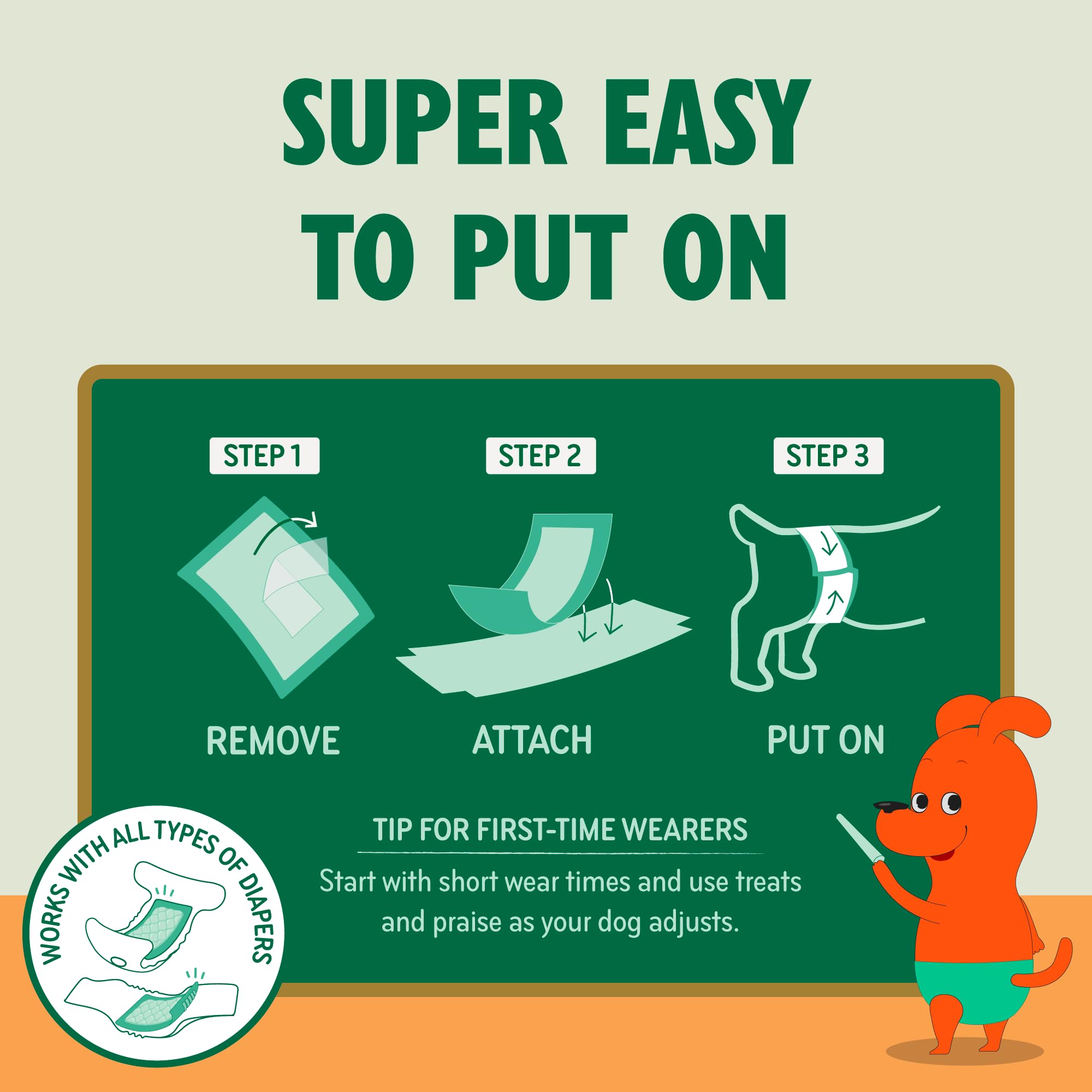PAWPANG gros plan du cœur absorbant montrant rapidité d'absorption