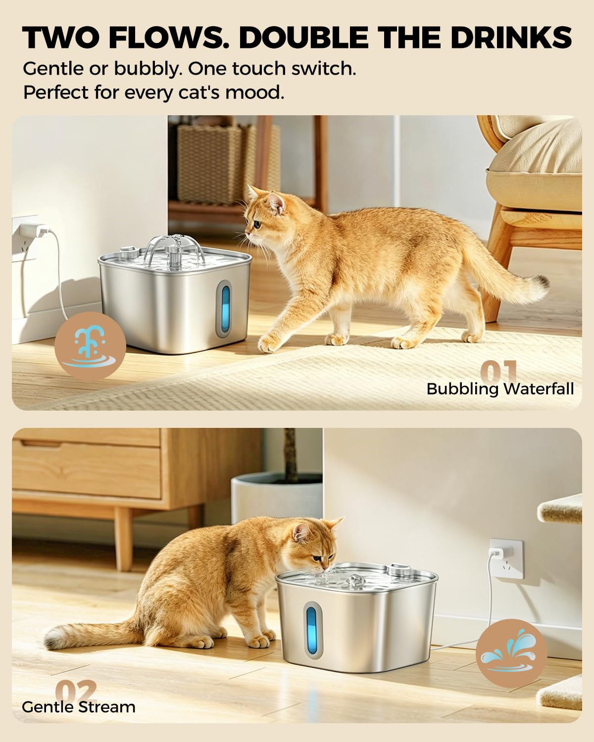 PawPoll petit bassin d'urgence 170 ml garde l'accès à l'eau lors coupure