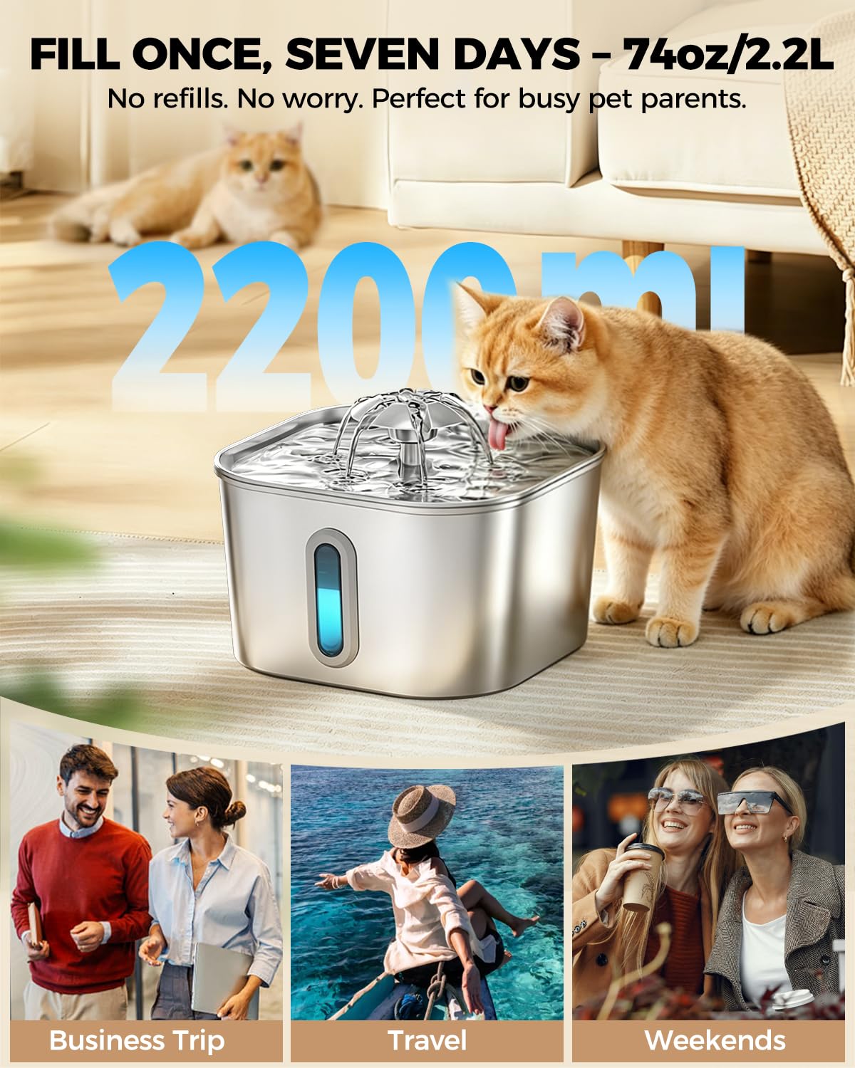 PawPoll bec verseur en inox favorisant un flux d'eau naturel pour inciter à boire
