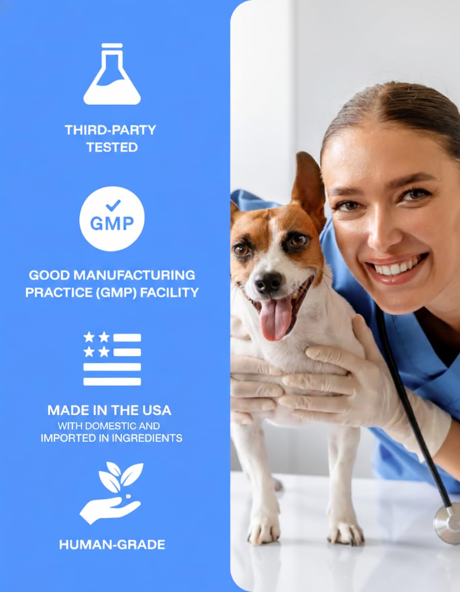 PAWPRINT LAB chien senior marchant montrant confort articulaire accru