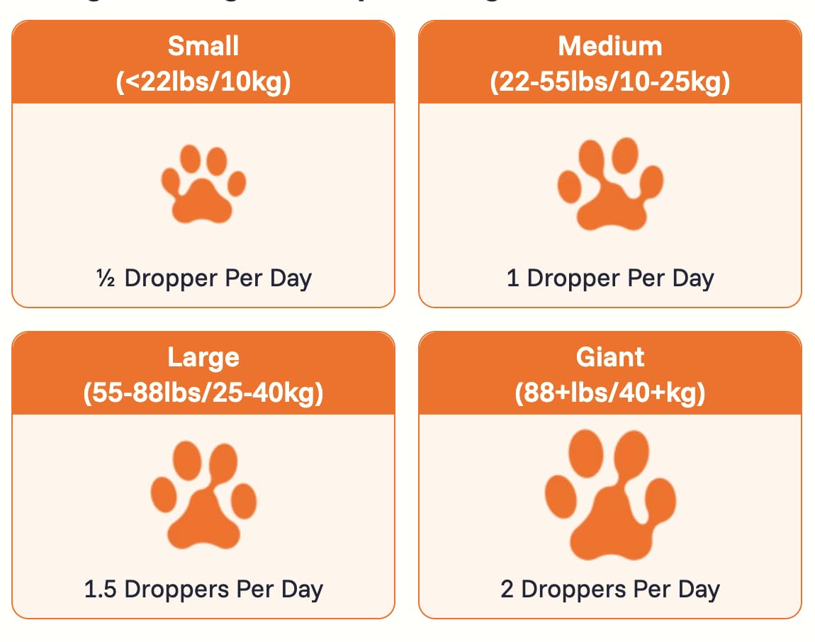 PAWPRINT LAB chiot en jeu illustrant énergie retrouvée et mobilité améliorée