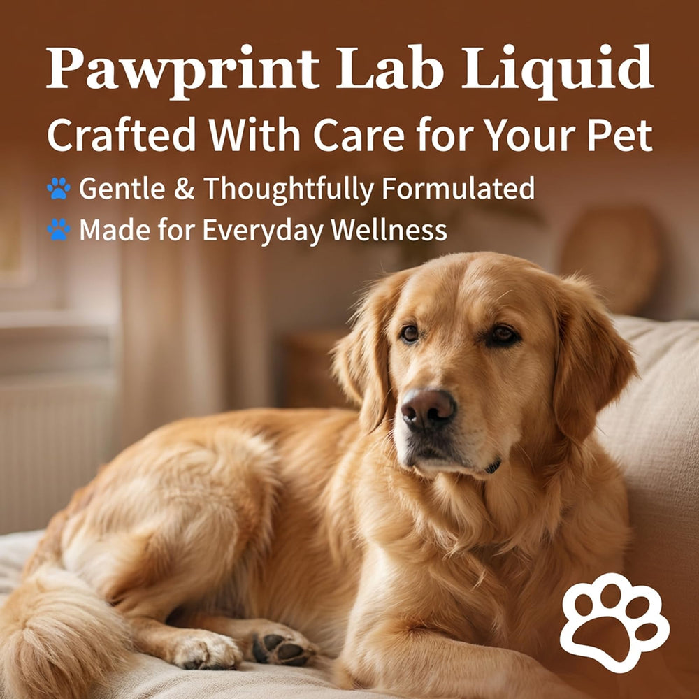 Pawprint Lab Liquid utilisé lors d’une routine quotidienne avec chien