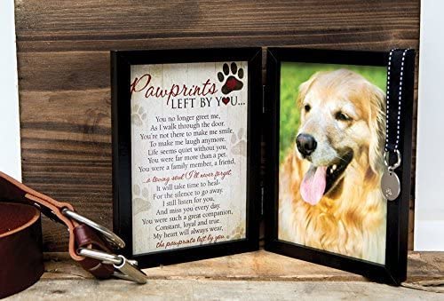 Pawprints gros plan médaille métal 1 pouce prêt à graver pour personnaliser