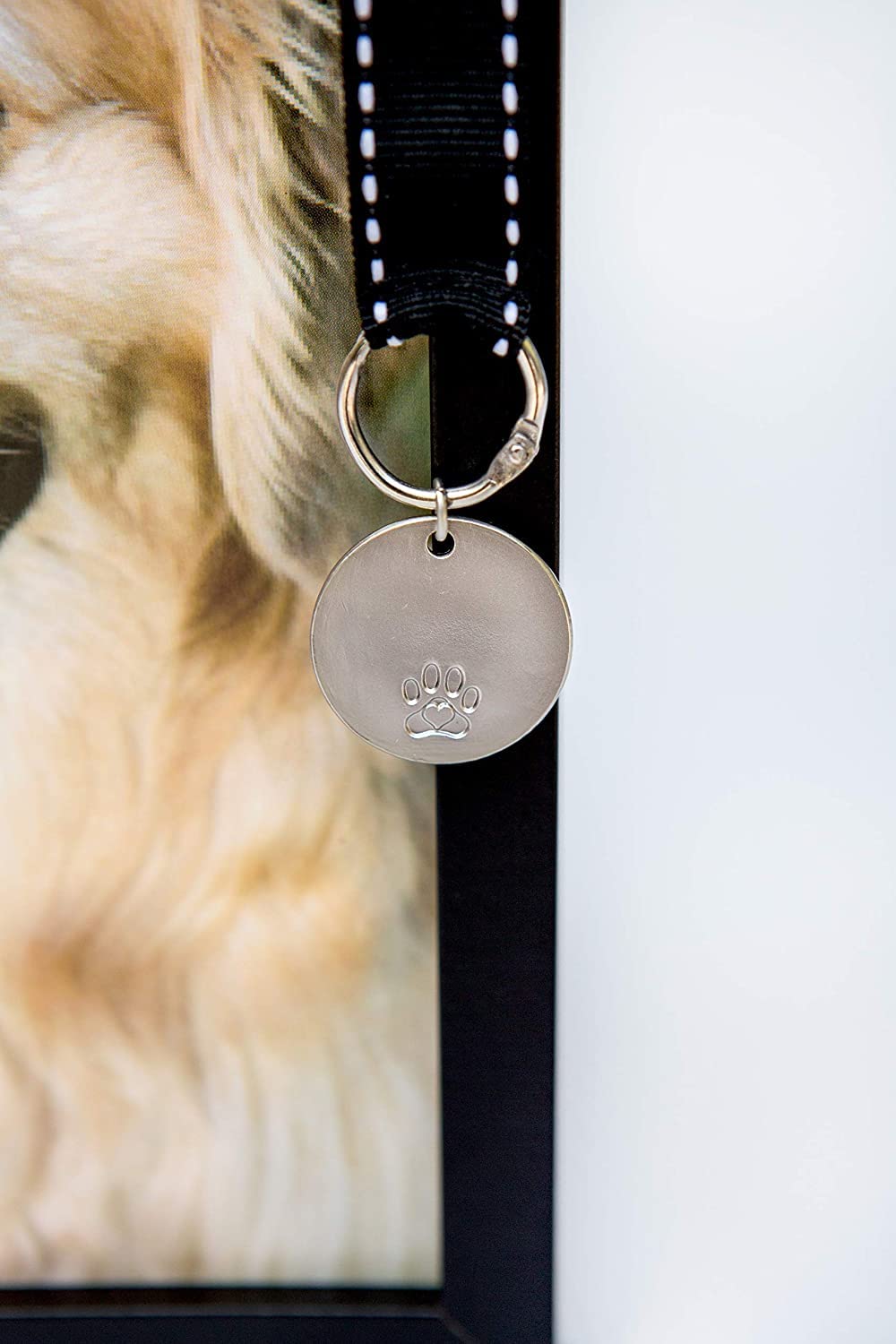 Pawprints comparaison taille avec main montrant format compact et discret