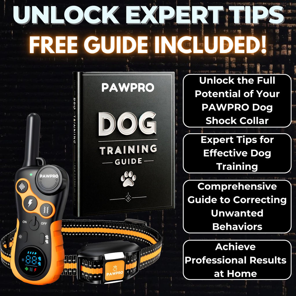 PAWPRO collier en action chien rappel à distance contrôle sécurisé