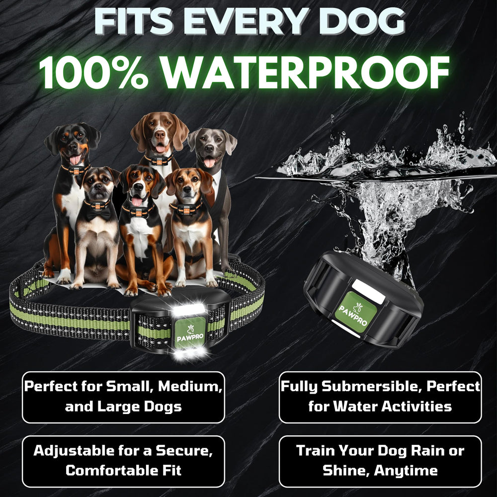 PAWPRO mode LED en nuit, visibilité et sécurité nocturne améliorées