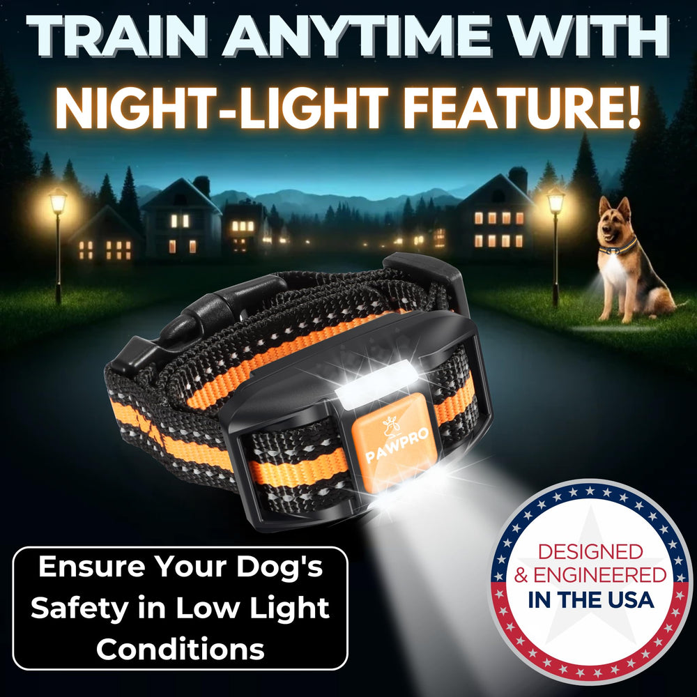 PAWPRO mode LED visible la nuit pour repérer le chien en balade