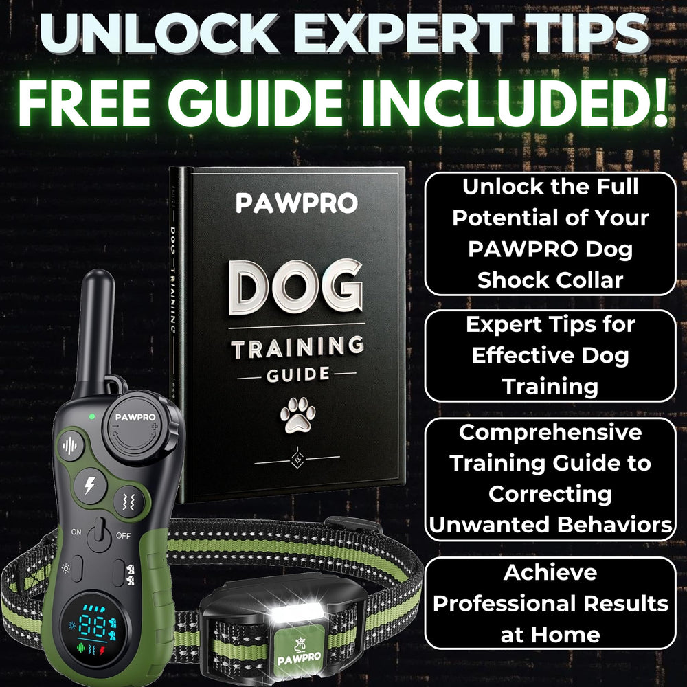 PAWPRO pointes conductrices en gros plan, confort et contact fiable