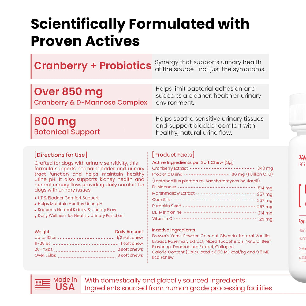 PAWPULSE FORMULA chien adulte recevant friandise, soutien de la routine