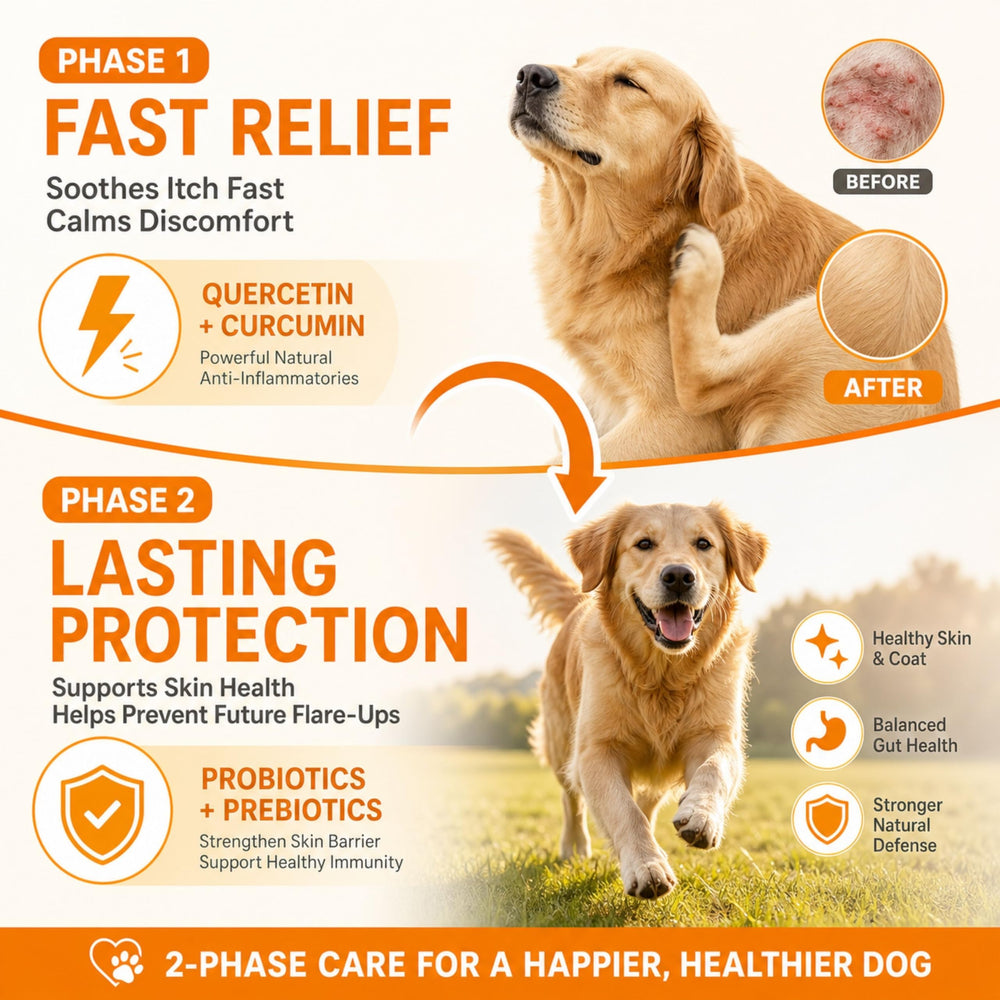 PAWPULSE FORMULA chien prenant une friandise, facilité d'administration quotidienne