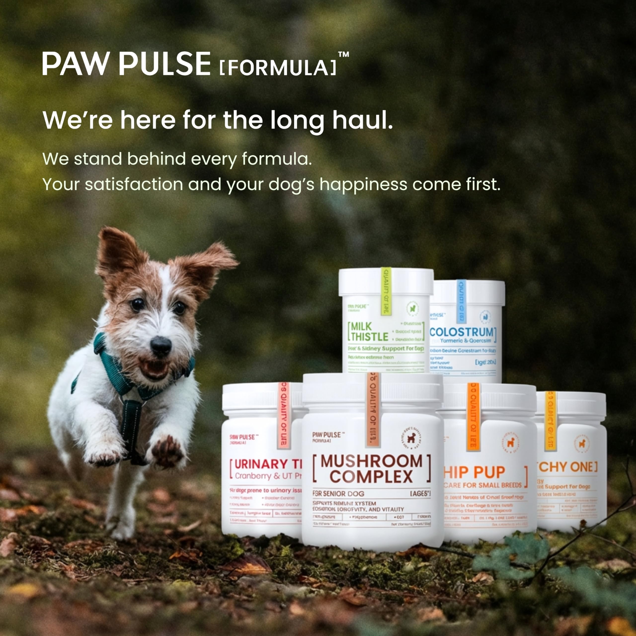 PAWPULSE FORMULA étiquette nutritive détaillée pour informations claires