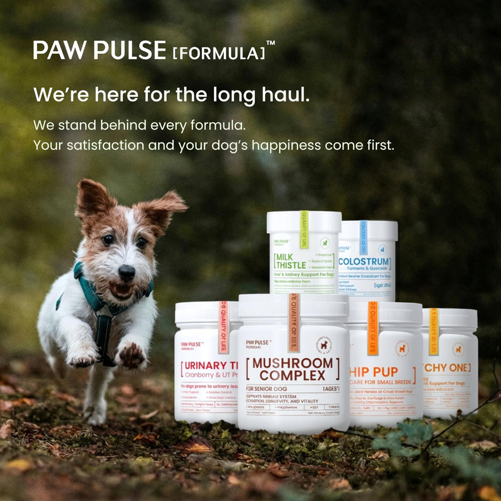 PAWPULSE FORMULA étiquette nutritive détaillée pour informations claires