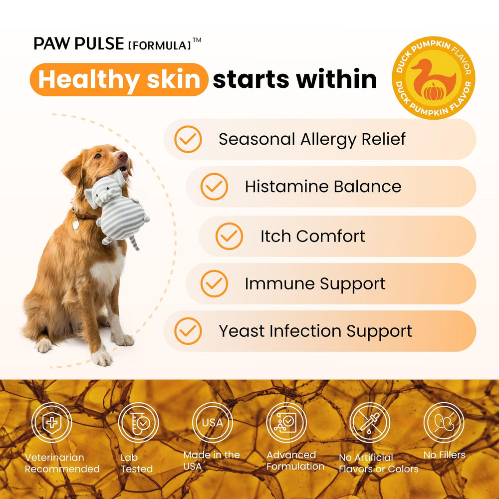 PAWPULSE FORMULA friandise gros plan, texture invitante qui facilite l'acceptation