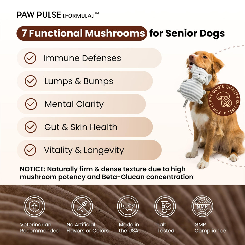 PAWPULSE FORMULA focus turkey tail illustrant ingrédients fonctionnels