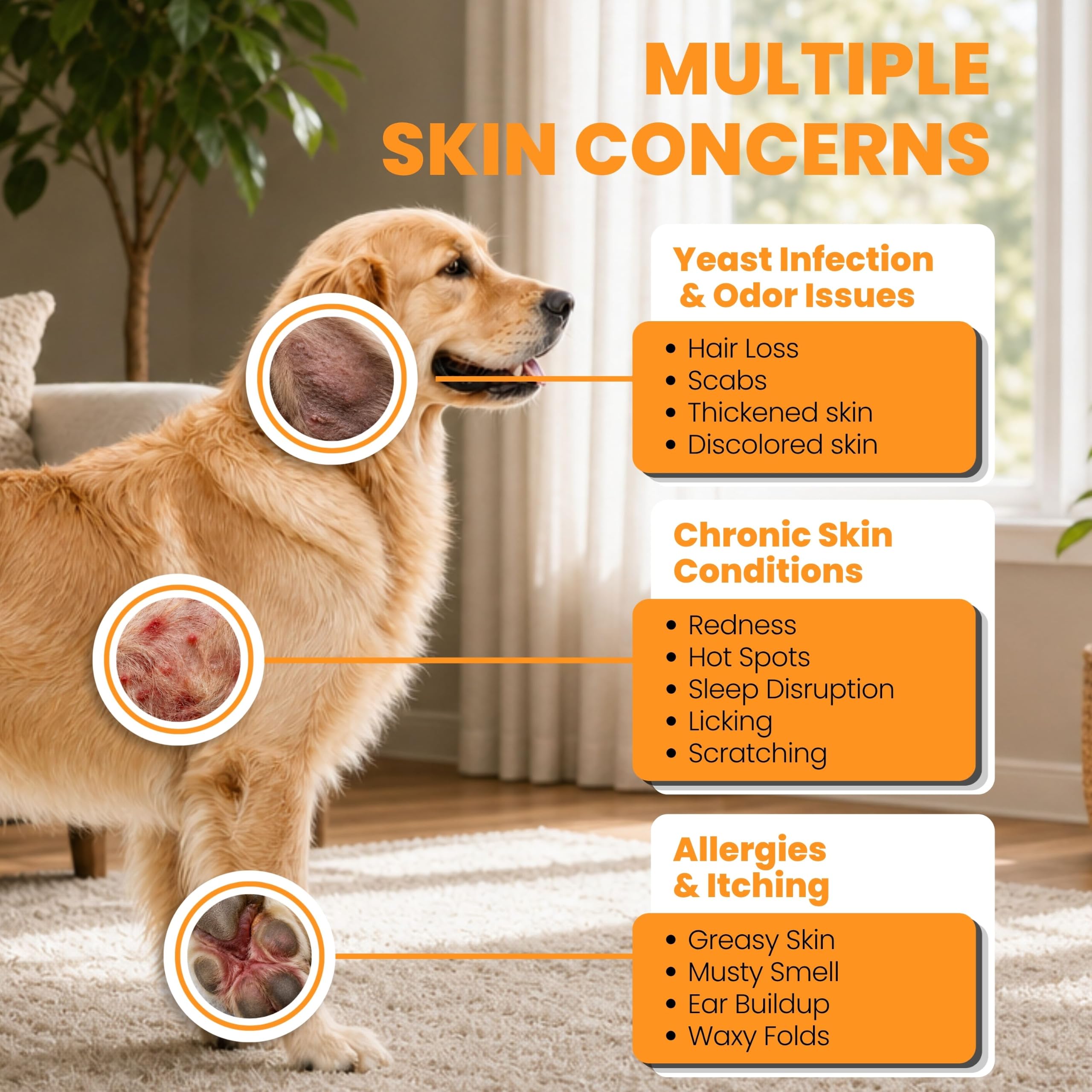PAWPULSE FORMULA ingrédients naturels (curcumine, origan, bourrache) pour soutien cutané