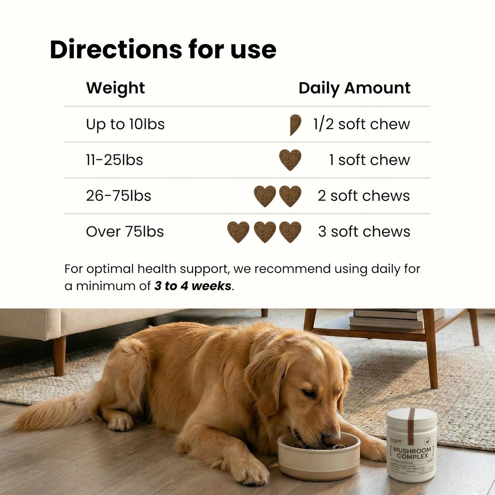 PAWPULSE FORMULA boîte 80 gommes, quantité pour cure régulière
