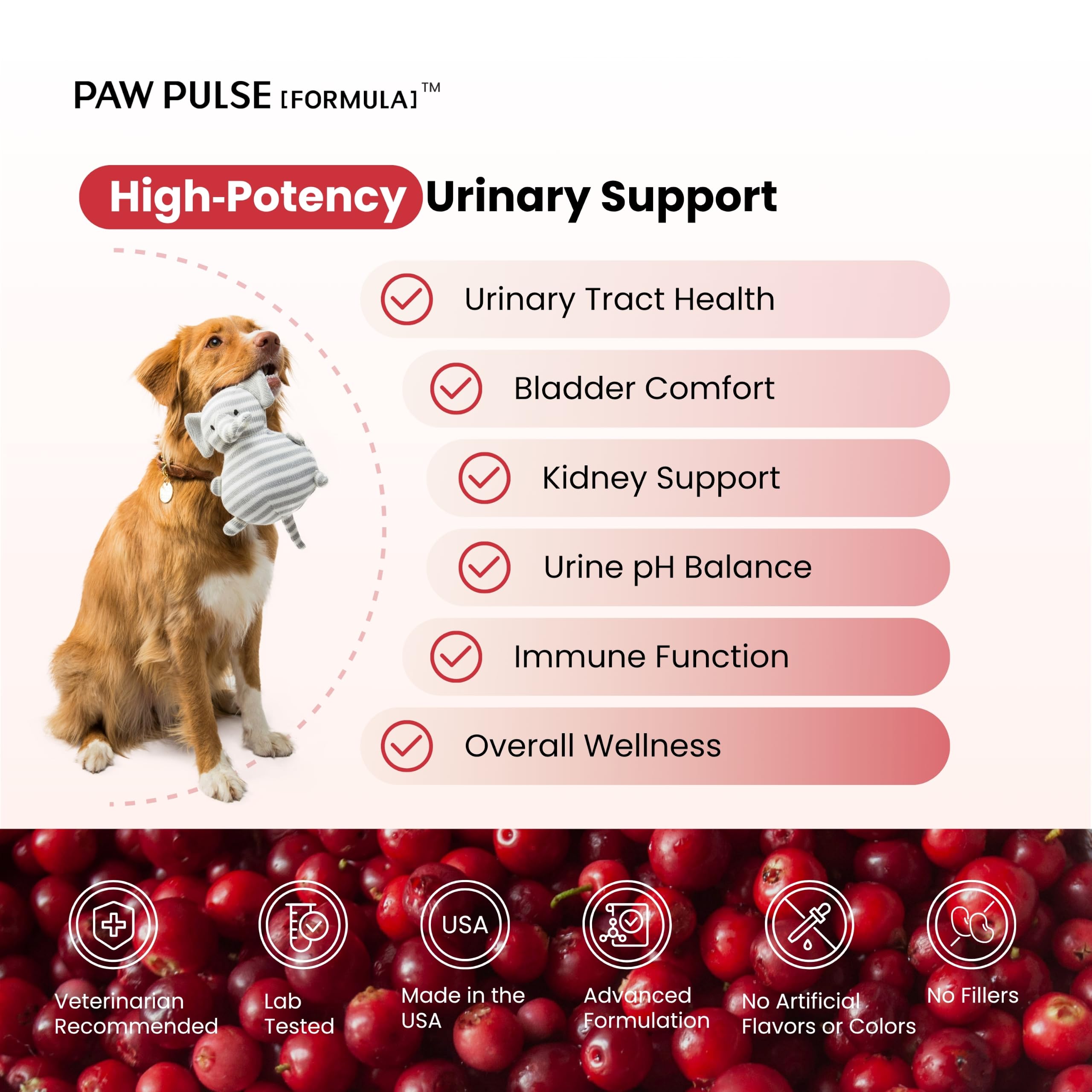 PAWPULSE FORMULA gros plan sur texture de la bouchée, appétence visible