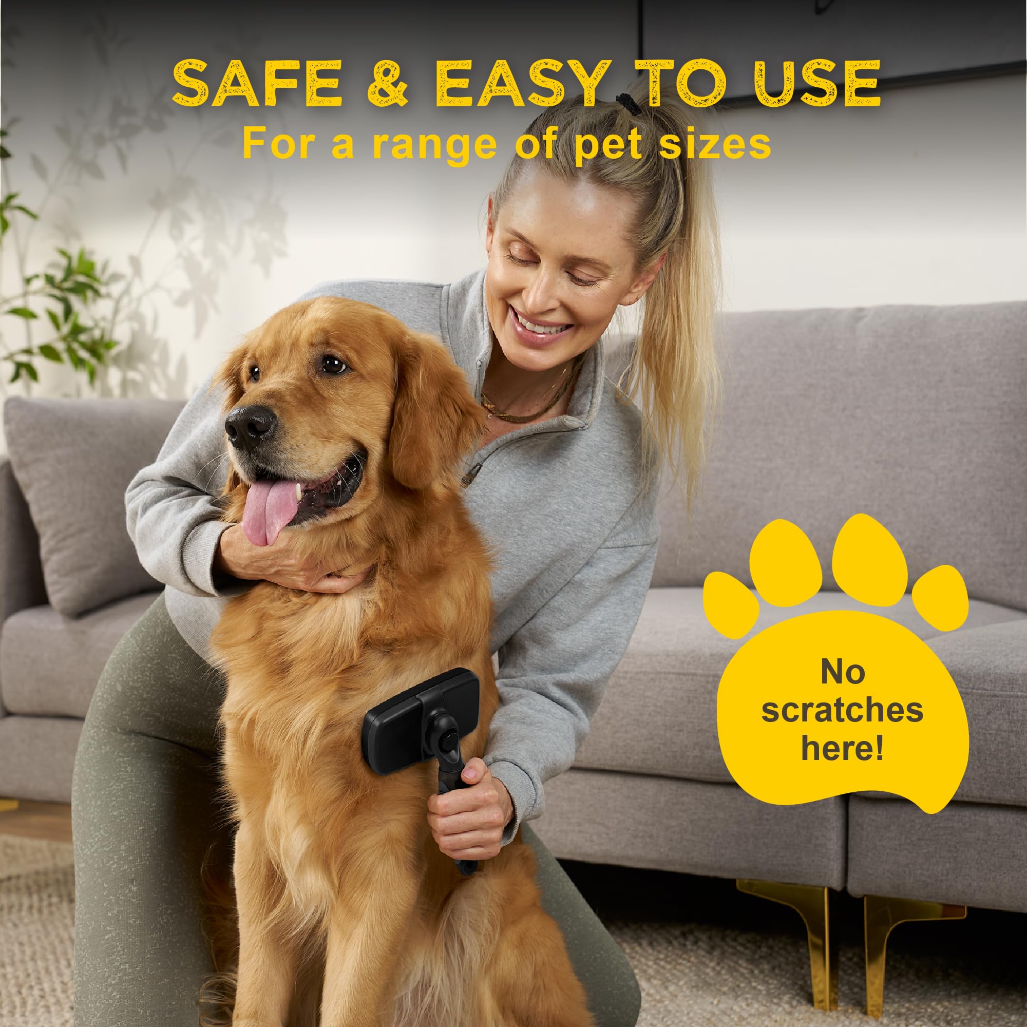 Pawradise utilisée sur chien à poils longs pour réduire le sous-poil