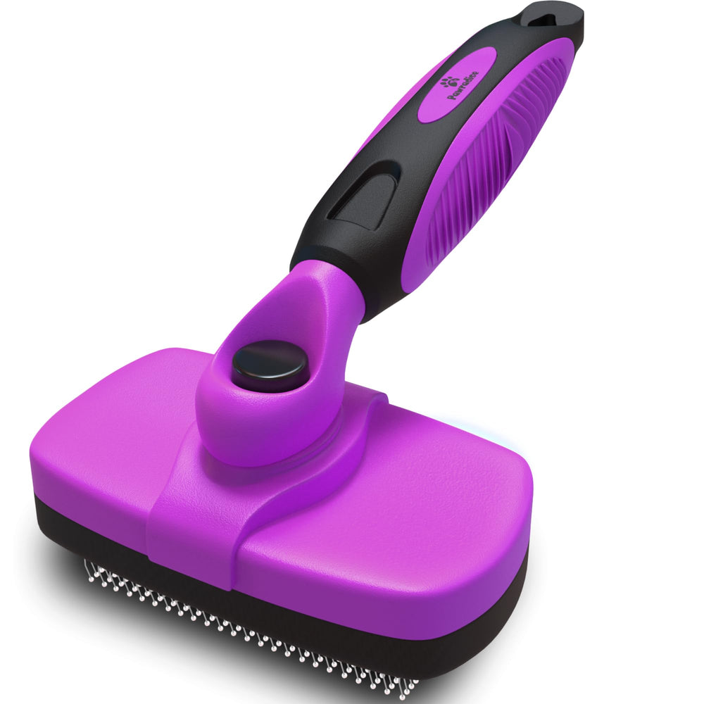 Pawradise face avant montrant la brosse et packaging, pratique pour choisir