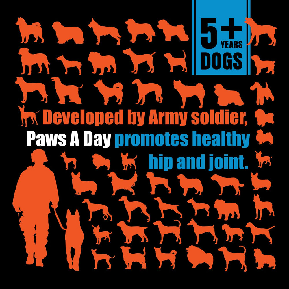 Paws A Day comprimé gros plan illustrant appétence et facilité d'administration