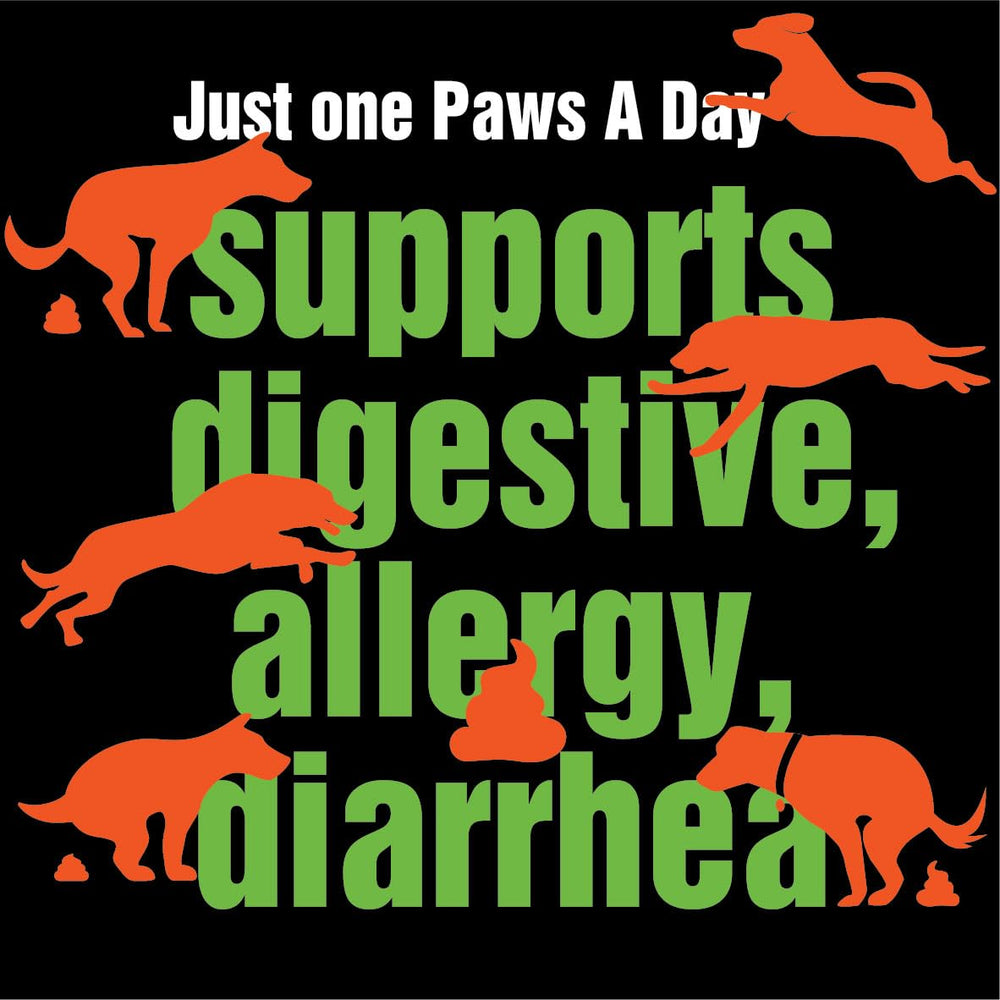 Paws A Day texture masticable montrant la densité et bénéfice appétissant