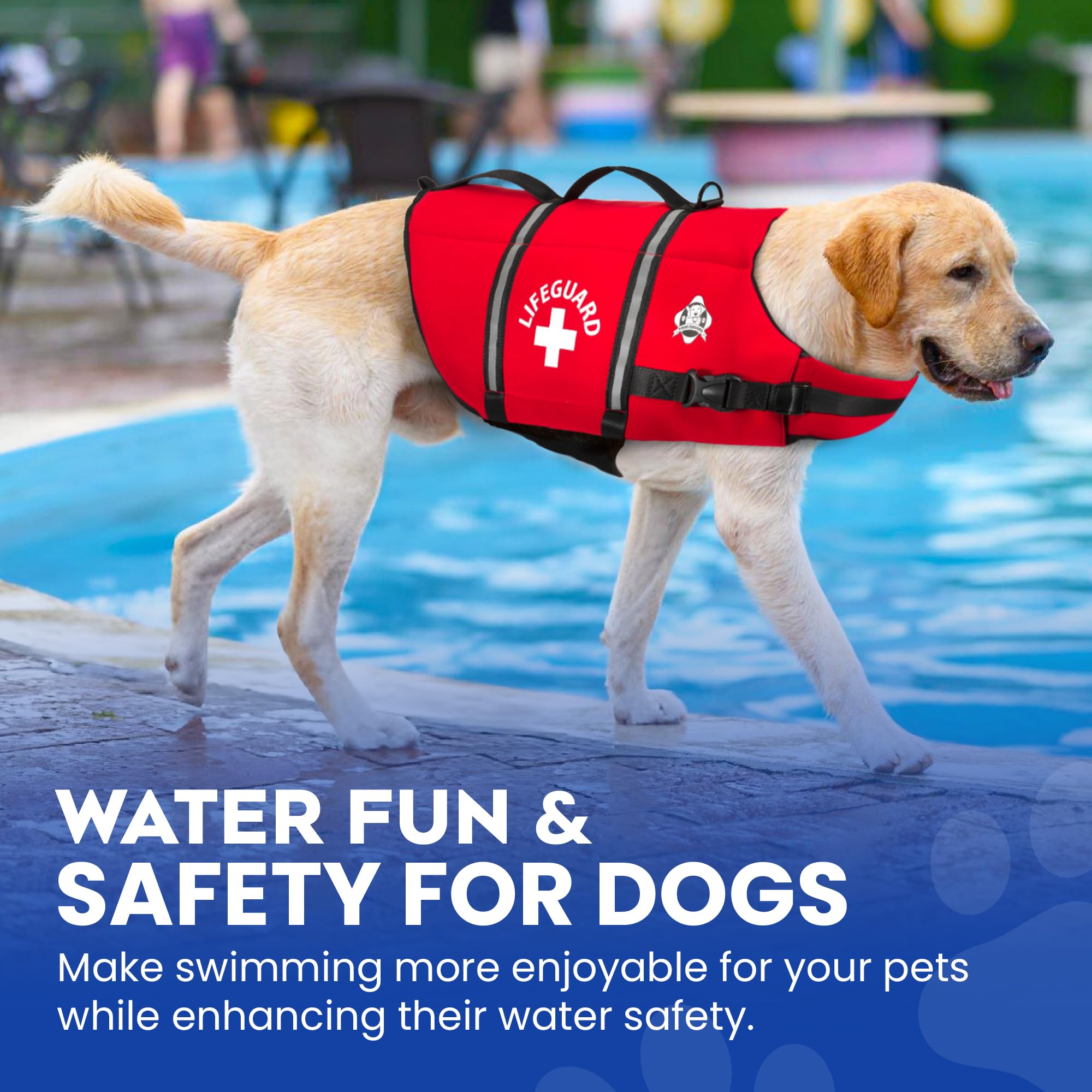 Paws Aboard chien portant le gilet sur la plage prêt pour la baignade