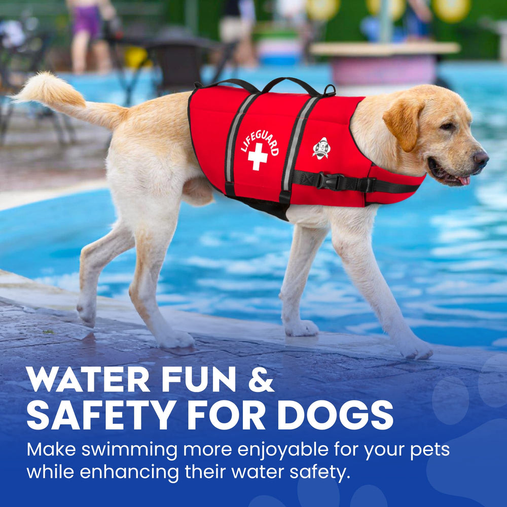 Paws Aboard chien portant le gilet sur la plage prêt pour la baignade