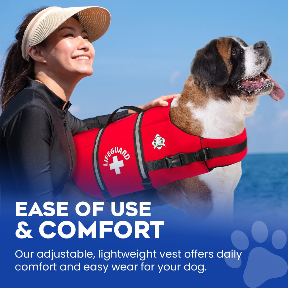 Paws Aboard dessous en maille à séchage rapide pour réduire les frottements