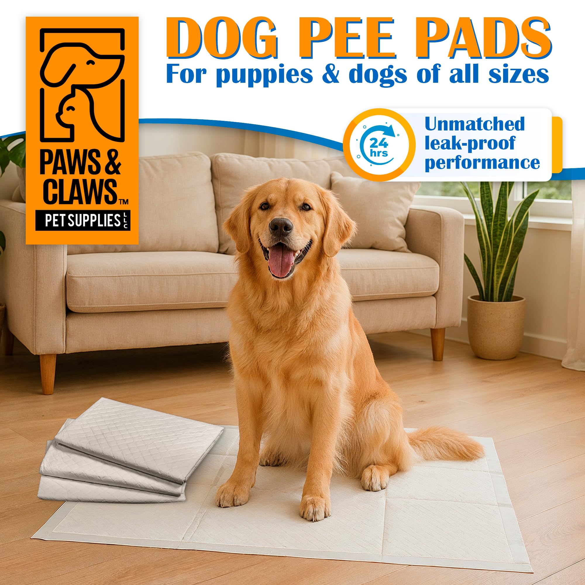 Paws & Claws tapis dans un intérieur urbain illustrant usage en appartement