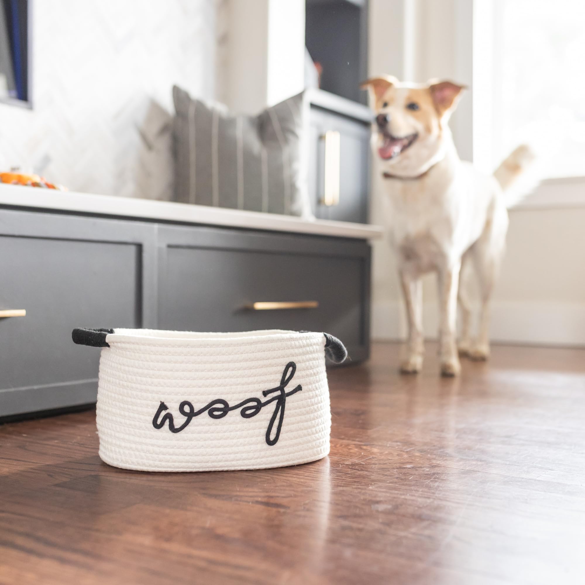 Paws For Reaction chiot jouant avec les jouets favorisant stimulation et bien-être